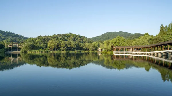 gün batımında göl suyu, söğüt catkins ve bulutlu gökyüzü ile renkli dramatik manzara.
