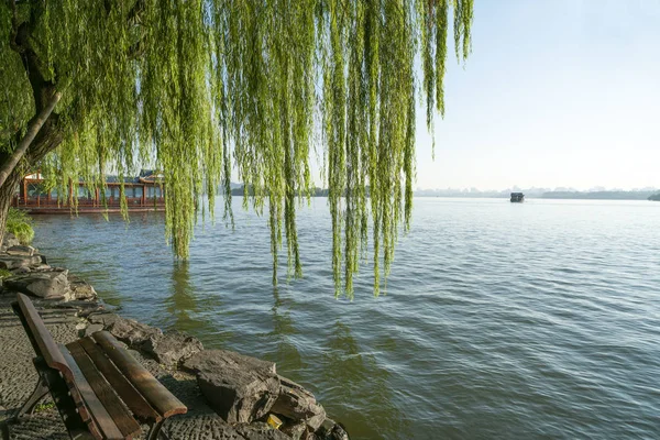 Paisaje Dramático Colorido Con Agua Del Lago Amentos Sauce Cielo — Foto de Stock