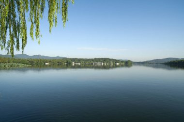 gün batımında göl suyu, söğüt catkins ve bulutlu gökyüzü ile renkli dramatik manzara.