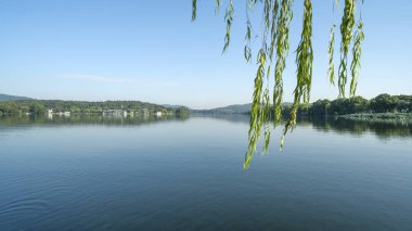 gün batımında göl suyu, söğüt catkins ve bulutlu gökyüzü ile renkli dramatik manzara.