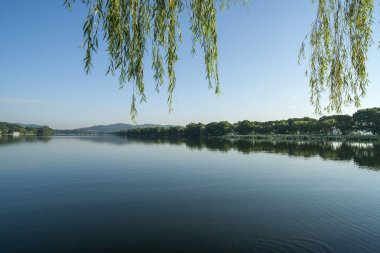 gün batımında göl suyu, söğüt catkins ve bulutlu gökyüzü ile renkli dramatik manzara.