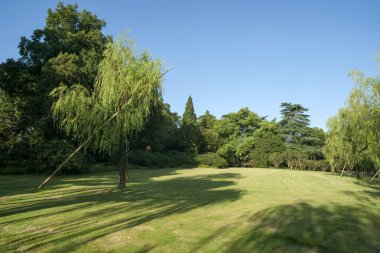 gün batımında göl suyu, söğüt catkins ve bulutlu gökyüzü ile renkli dramatik manzara.
