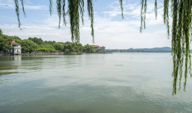 gün batımında göl suyu, söğüt catkins ve bulutlu gökyüzü ile renkli dramatik manzara.