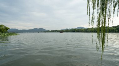 gün batımında göl suyu, söğüt catkins ve bulutlu gökyüzü ile renkli dramatik manzara.