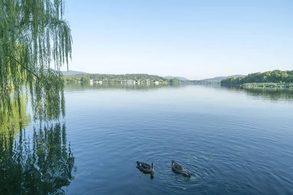 Paisaje Dramático Colorido Con Agua Del Lago Amentos Sauce Cielo —  Fotos de Stock