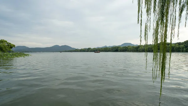 gün batımında göl suyu, söğüt catkins ve bulutlu gökyüzü ile renkli dramatik manzara.