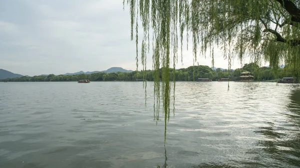 gün batımında göl suyu, söğüt catkins ve bulutlu gökyüzü ile renkli dramatik manzara.
