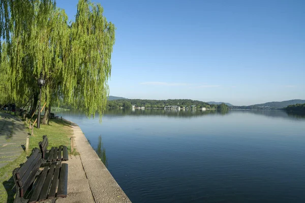 gün batımında göl suyu, söğüt catkins ve bulutlu gökyüzü ile renkli dramatik manzara.