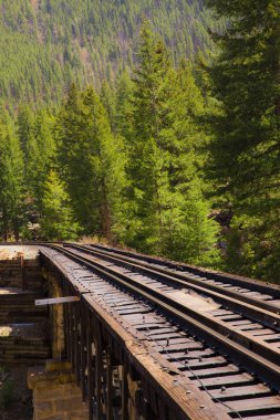 Demiryolu parça dağ kırsal ve çam ağaçları ile
