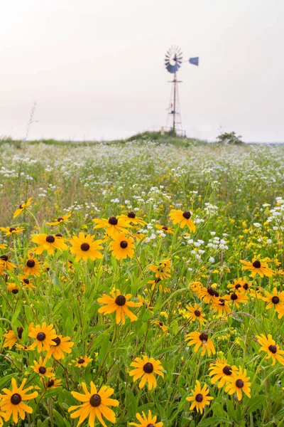Environmental Resource Landscape Image Field Wildflowers Windmill Background — Stock Photo, Image