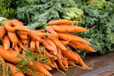 Kırpma çiftçilere piyasa ekranda organik olarak yetiştirilen havuç 