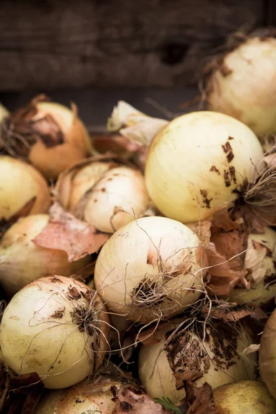 Crop Raw Onions Farmers Market — Stock Photo, Image