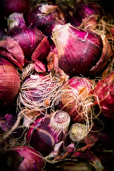 Crop Raw Red Bermuda Onions Farmers Market — Stock Photo, Image