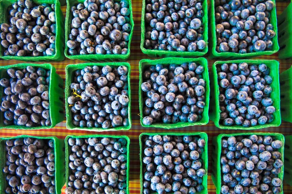 Colheita Mirtilos Cultivados Organicamente Caixas Exposição Mercado Dos Agricultores — Fotografia de Stock