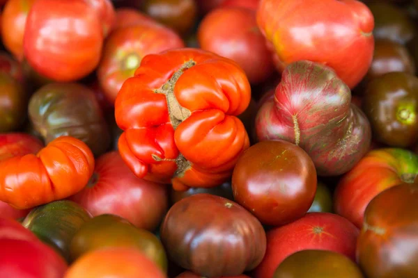 在农贸市场出售的有机种植西红柿作物 — 图库照片