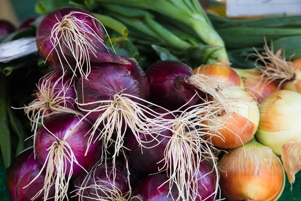 Rote Und Gelbe Zwiebeln Zum Verkauf Auf Dem Bauernmarkt — Stockfoto