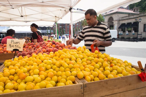 Nueva York City Julio 2018 Vea Tiendas Campaña Personas Verduras — Foto de Stock