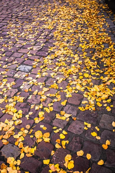 Žlutá Poklesla Podzimní Listí Cihly Zem — Stock fotografie