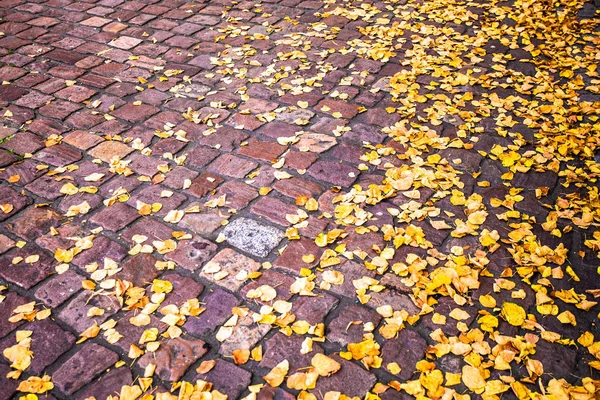 Yellow fallen autumn leaves on brick ground