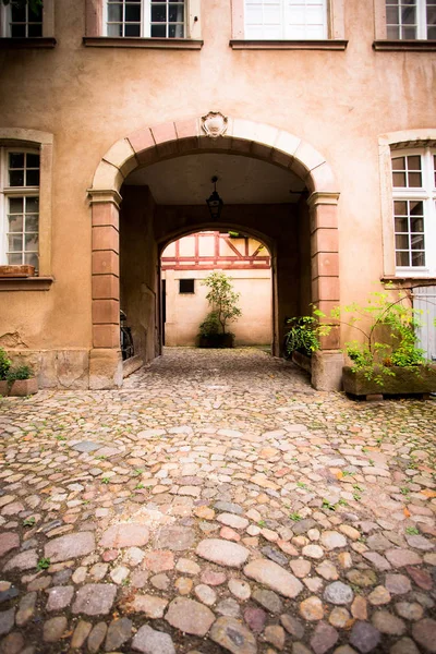 Entrada Arco Patio Del Antiguo Edificio Europeo Con Adoquines Plantas — Foto de Stock