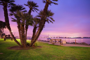 Güzel San Diego California manzarası ve geceleri gördün mü bay