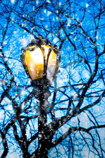 Lamp post and tree branches as snow falls at night