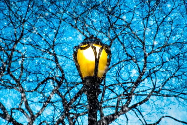 Poste Lâmpada Galhos Árvore Como Neve Cai Noite — Fotografia de Stock