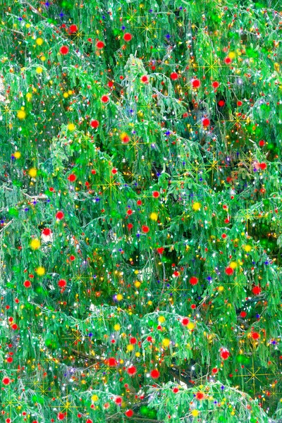 Detail Beautiful Natural Christmas Tree Branches Covered Colorful Festive Lights — Stock Photo, Image