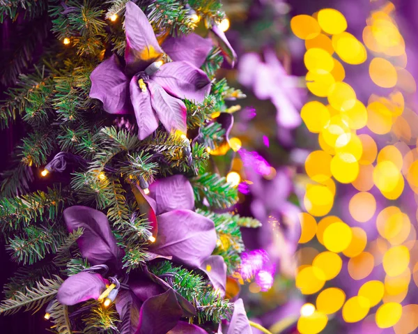 Imagem Colorida Bonita Fundo Feriado Natal Com Luzes Folhas Galhos — Fotografia de Stock