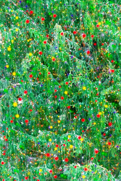 Detalhe Belos Ramos Naturais Árvores Natal Cobertos Luzes Festivas Coloridas — Fotografia de Stock