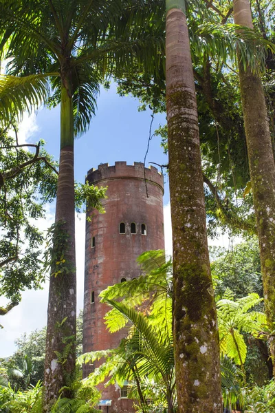 Yunque Rainforest Puerto Rico Torre Observación Yokahu — Foto de Stock
