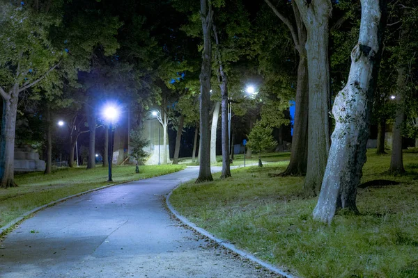 晚上看到的黑暗城市公园有树木和路灯 — 图库照片