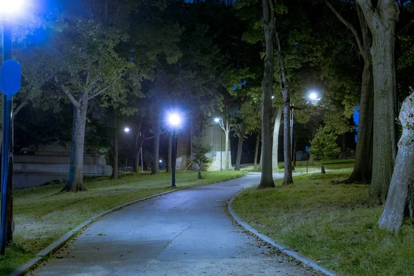 Dark City Park Sett Natten Med Träd Och Gatubelysning — Stockfoto