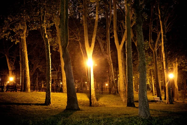 晚上看到的黑暗城市公园有树木和路灯 — 图库照片