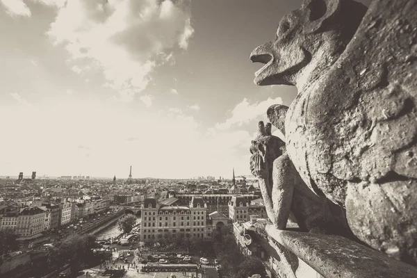 Gárgola Catedral Notre Dame Con Vistas Ciudad París Con Efecto —  Fotos de Stock