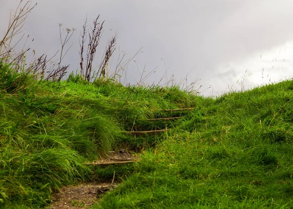 草で覆われた丘の中腹を屋外ステップ — ストック写真