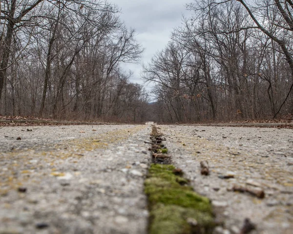 Desolate Abandoned Road Disrepair Low Perspective Bare Trees Distance — Stock Photo, Image