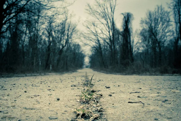 Route Abandonnée Désolée Mauvais État Basse Perspective Avec Des Arbres — Photo