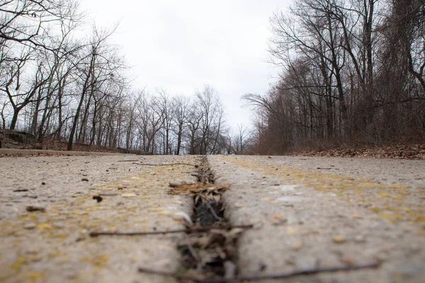 Desolate Abandoned Road Disrepair Low Perspective Bare Trees Distance — Stock Photo, Image