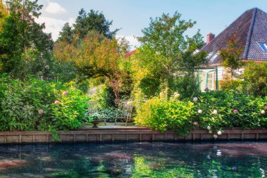 Doğal Holland kanal sahne üzerinden Hollanda'da Waterland Broek 