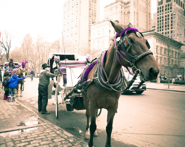 Nova Cidade Iorque Dezembro 2016 Carruagem Puxada Cavalo Aguarda Passageiros — Fotografia de Stock