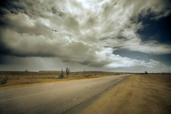 Пустынная дорога с впечатляющими облаками в небе и кактусе
