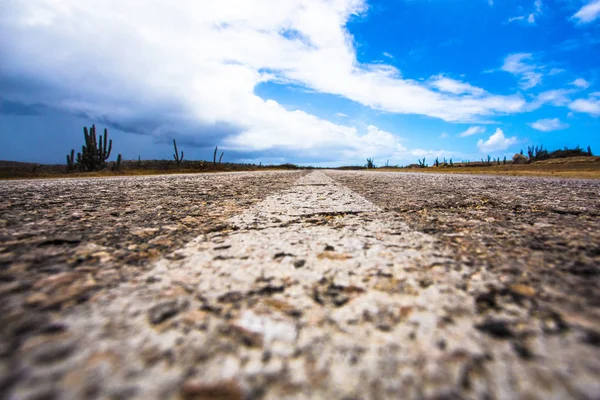 Linha Divisória Superfície Áspera Estrada Desolada Deserto Com Cacto Céu — Fotografia de Stock