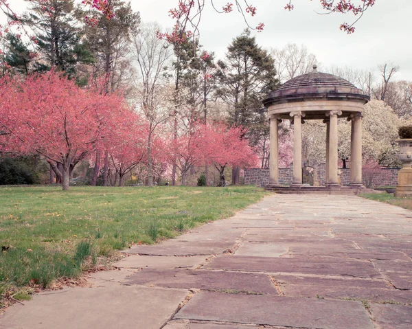 Belle Scène Jardin Printemps Avec Des Cerisiers Fleurs Colorées Belvédère — Photo