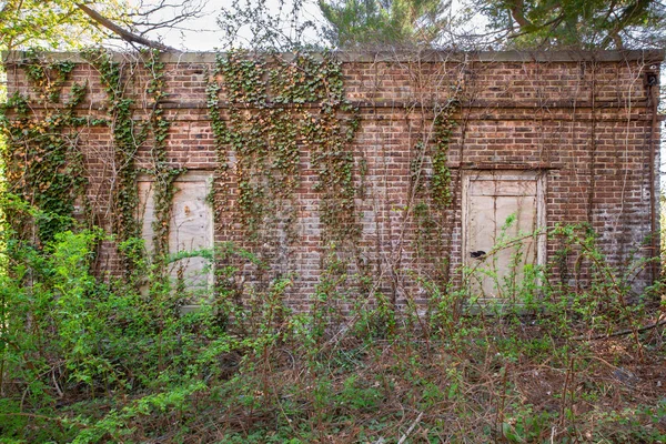 被大自然覆盖的废弃建筑上覆盖着杂草丛生的砖墙和常春藤的细节 — 图库照片