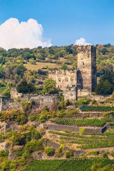 Gutenfels Zamek Wzgórzu Wzdłuż Rzeki Ren Niemczech — Zdjęcie stockowe