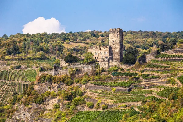 Gutenfels Zamek Wzgórzu Wzdłuż Rzeki Ren Niemczech — Zdjęcie stockowe