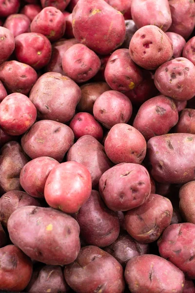 Montón Papas Rojas Crudas Papelera —  Fotos de Stock