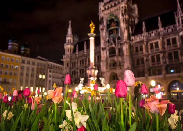 Munich Germany New Town Hall Rathaus Marienplatz Seen Night Spring — Stock Photo, Image