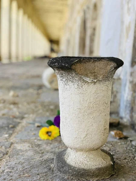 Gebroken Klei Vaas Stervende Bloemen Verlaten Gebouw — Stockfoto